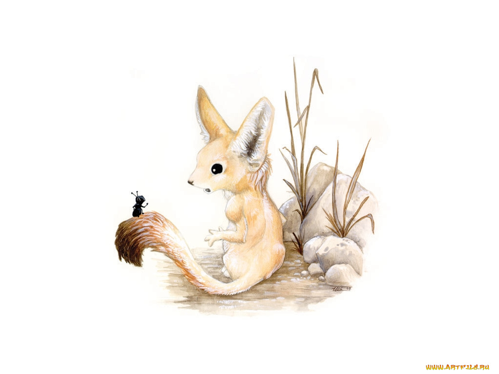 рисованные, животные, муравей, лиса
