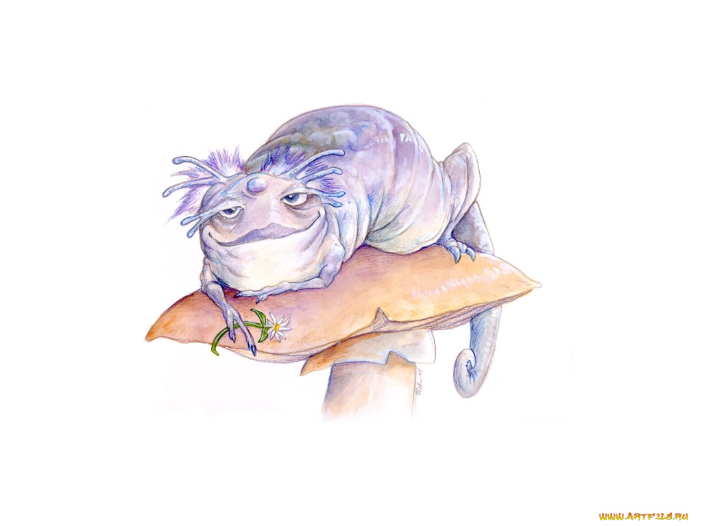 рисованные, животные, ящерицы, хамелеон