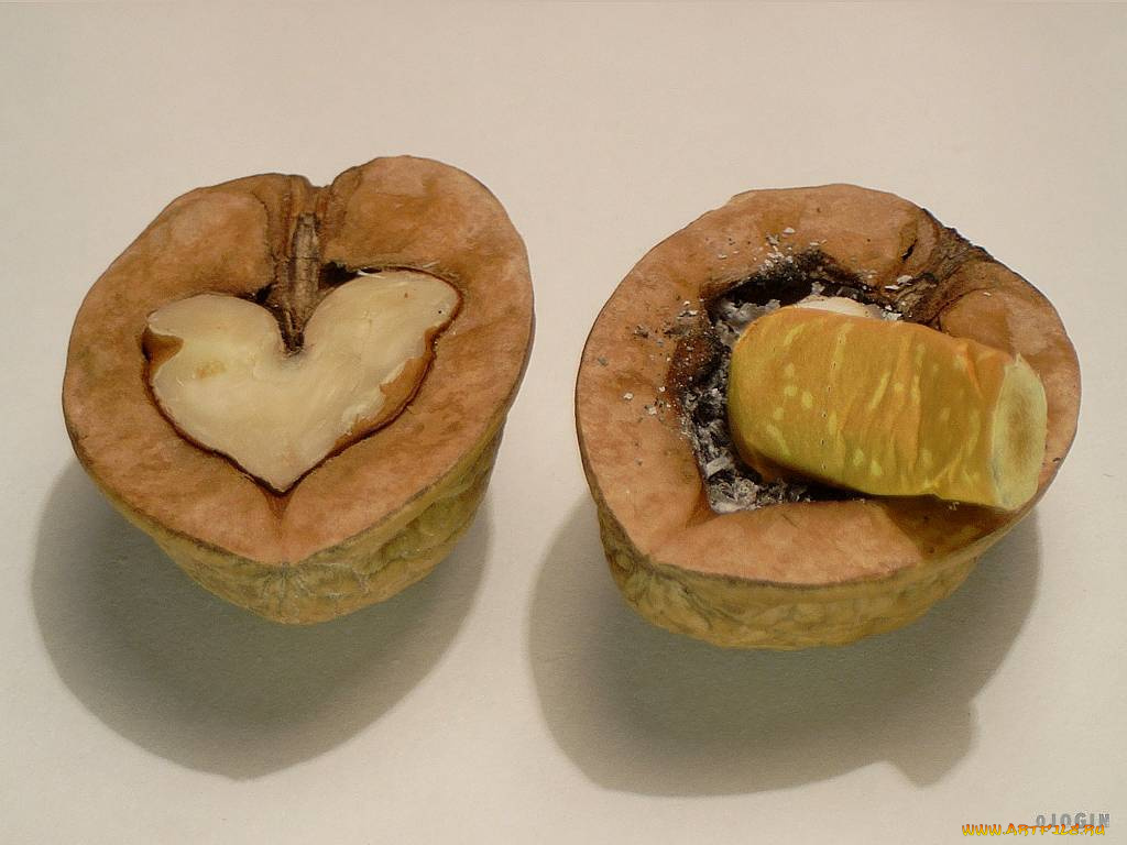 юмор, приколы