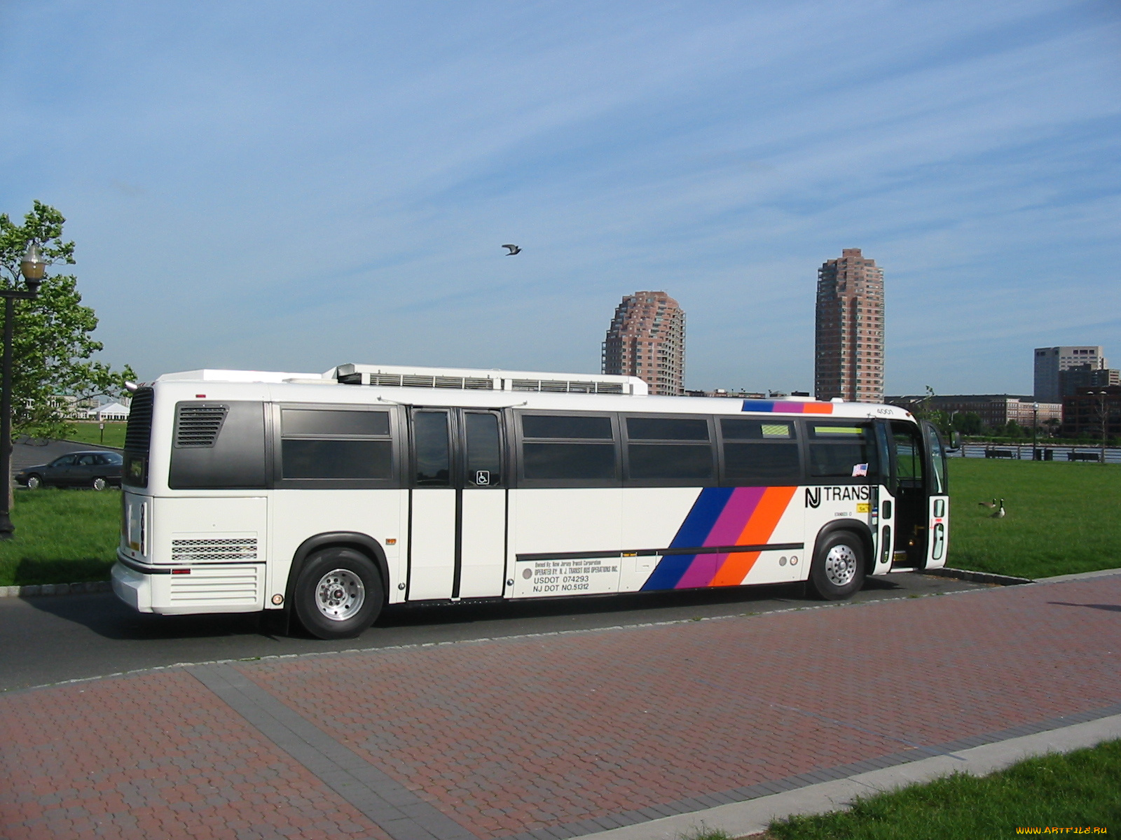 автомобили, автобусы