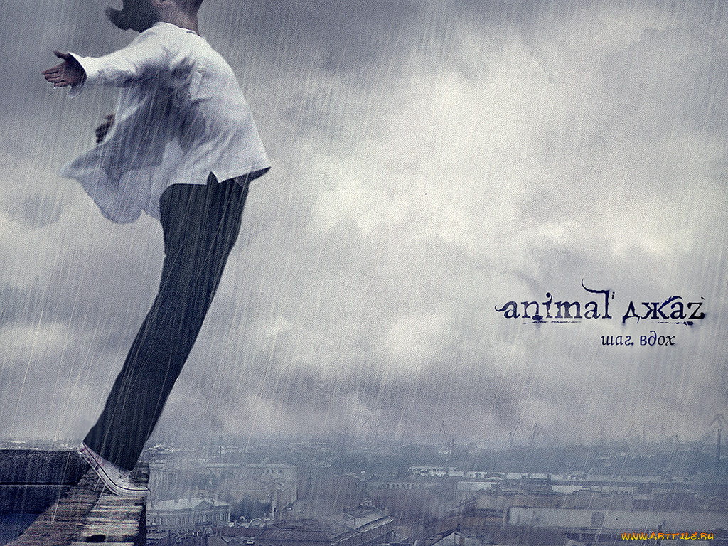 aj3, музыка, animal, джаz