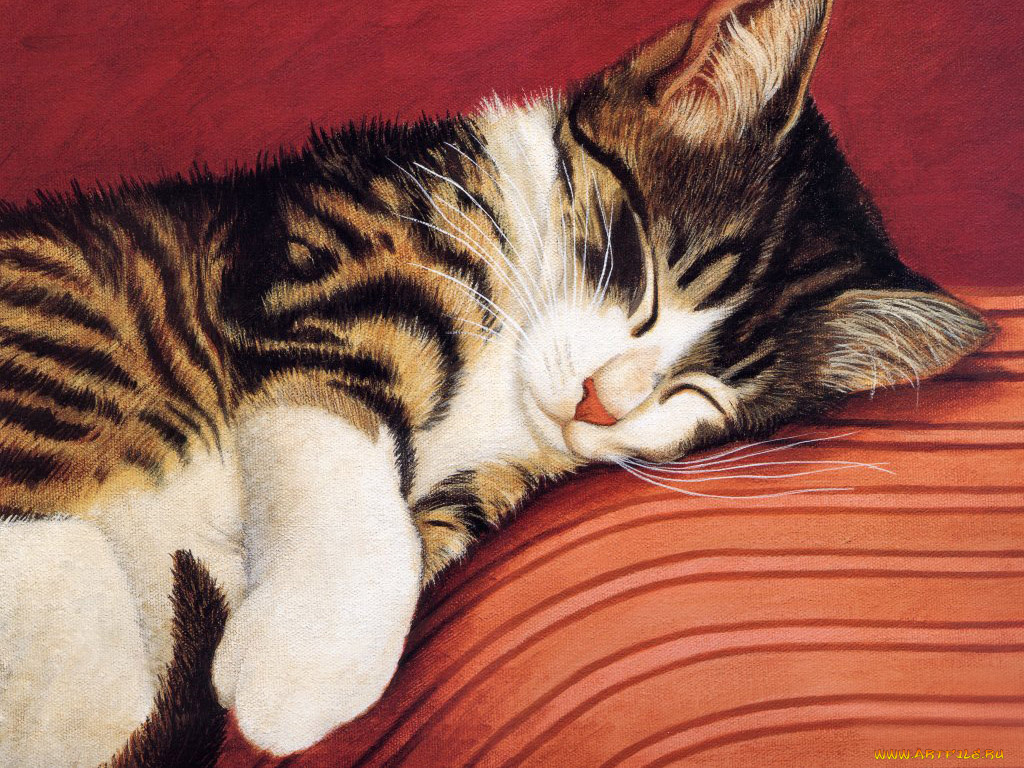 рисованные, животные, коты