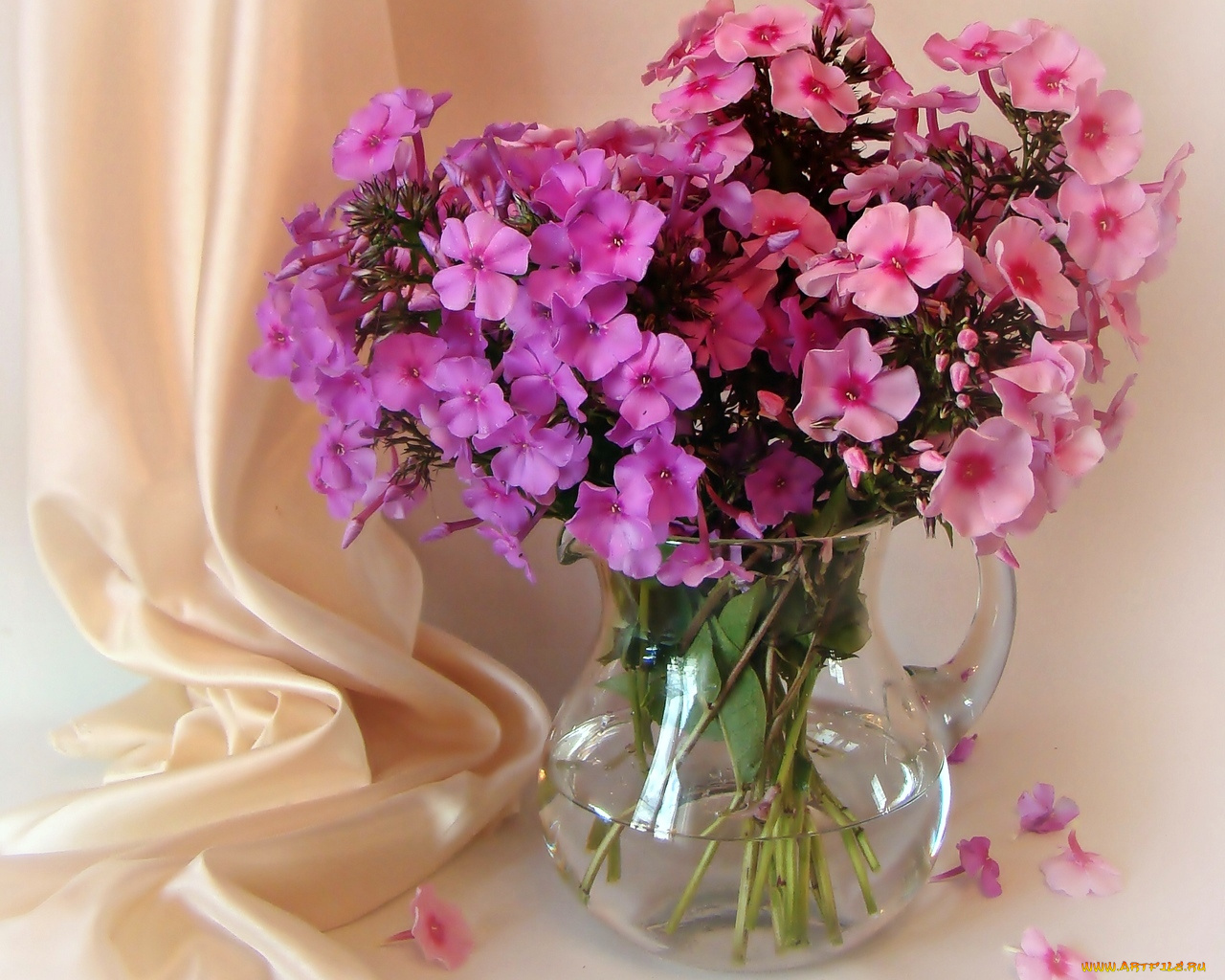 авт, izumrudinka2009, цветы, флоксы