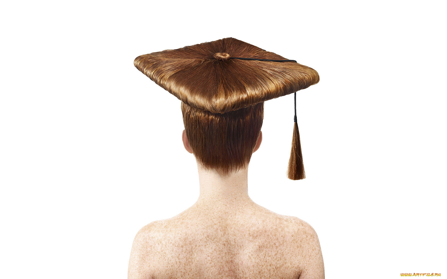 юмор, приколы