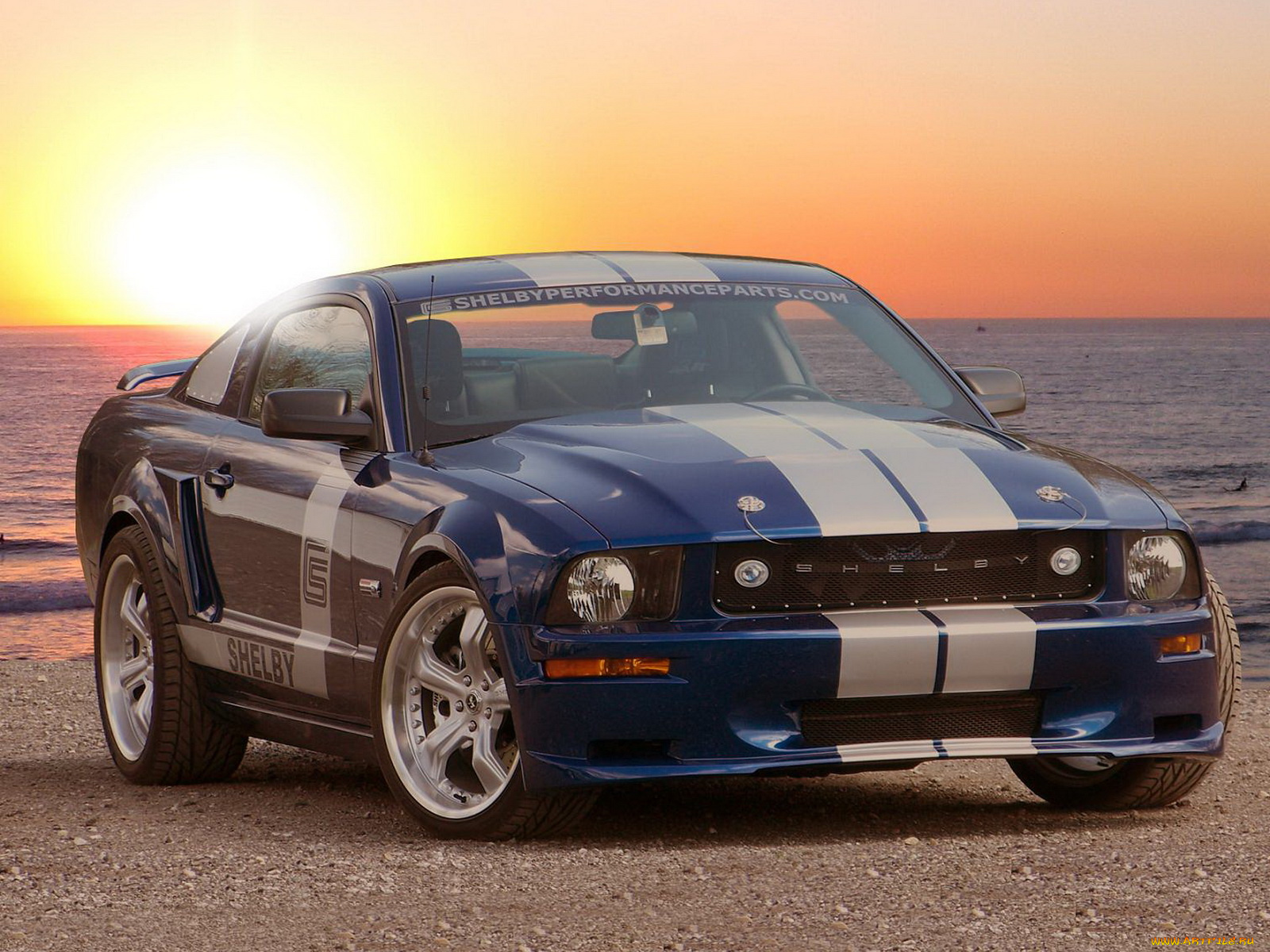 автомобили, mustang