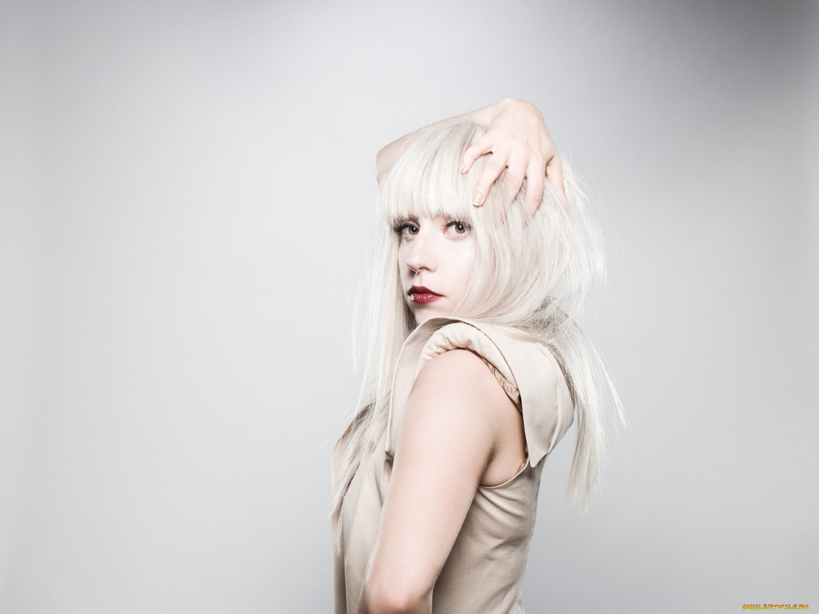 lady, gaga, музыка