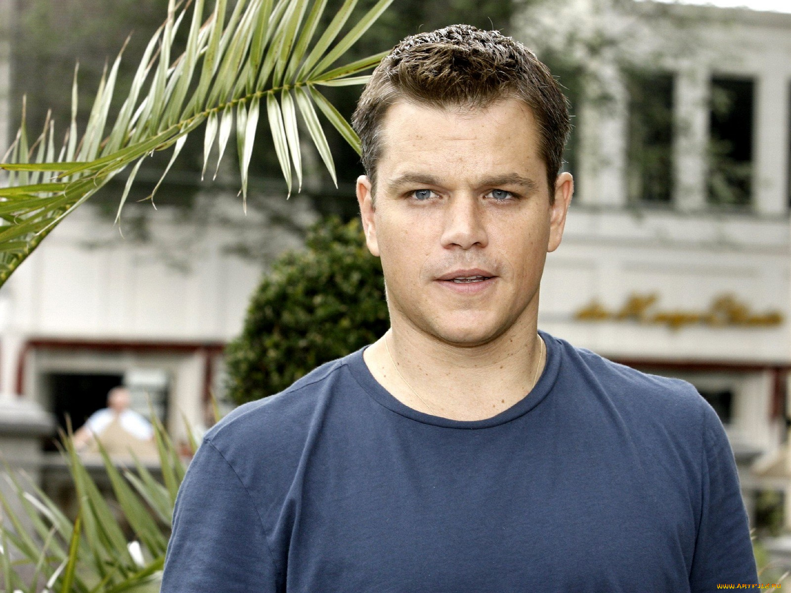 matt, damon, мужчины
