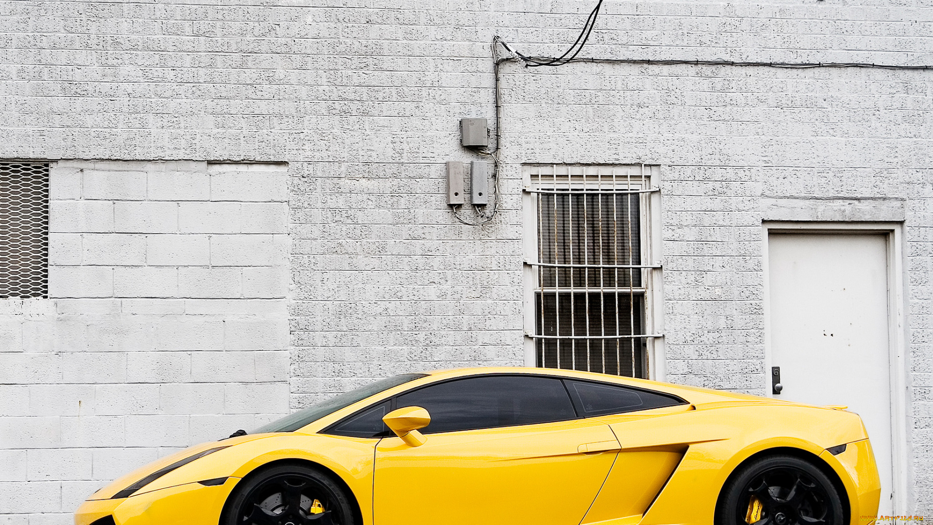 автомобили, lamborghini