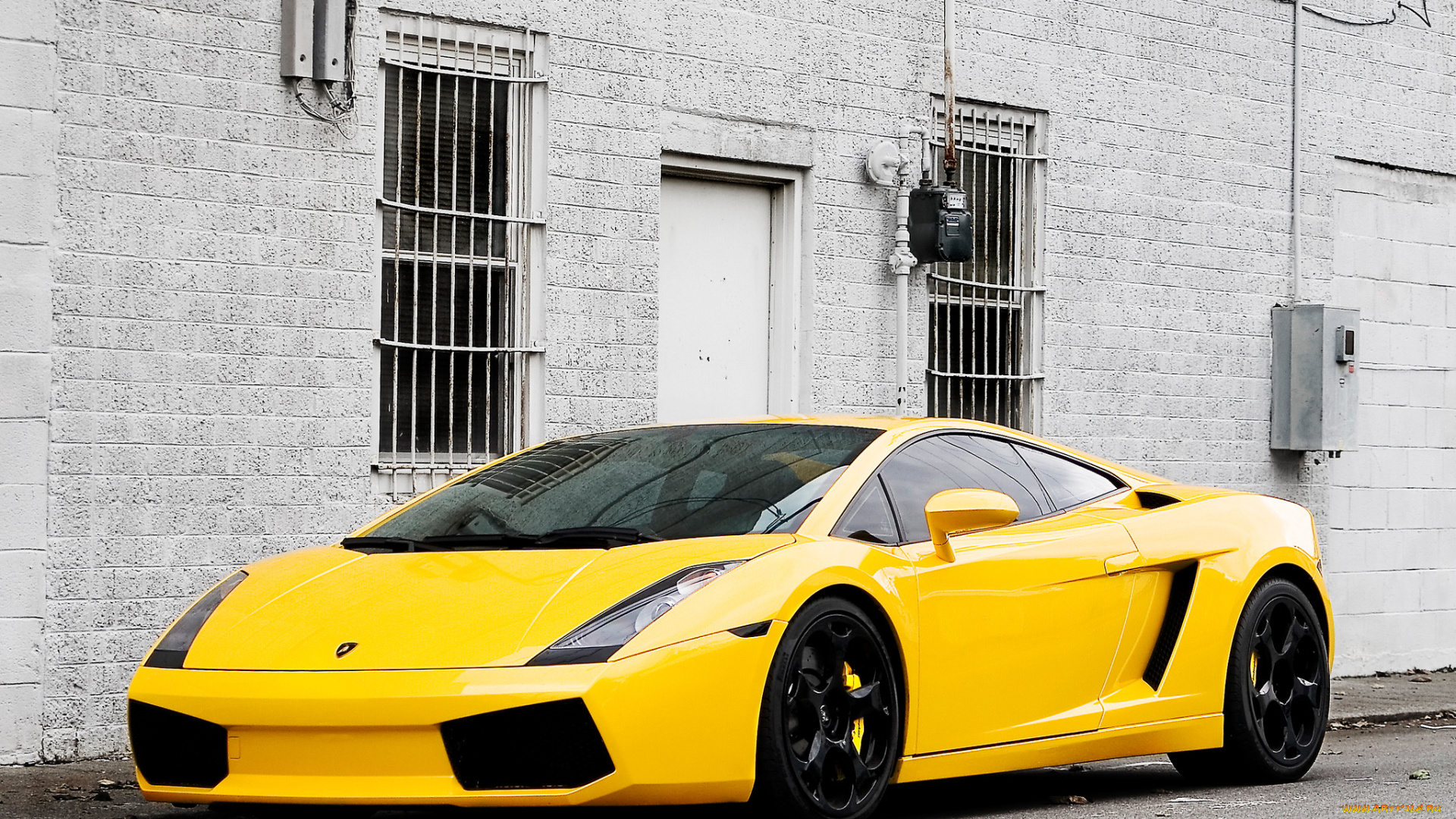 автомобили, lamborghini