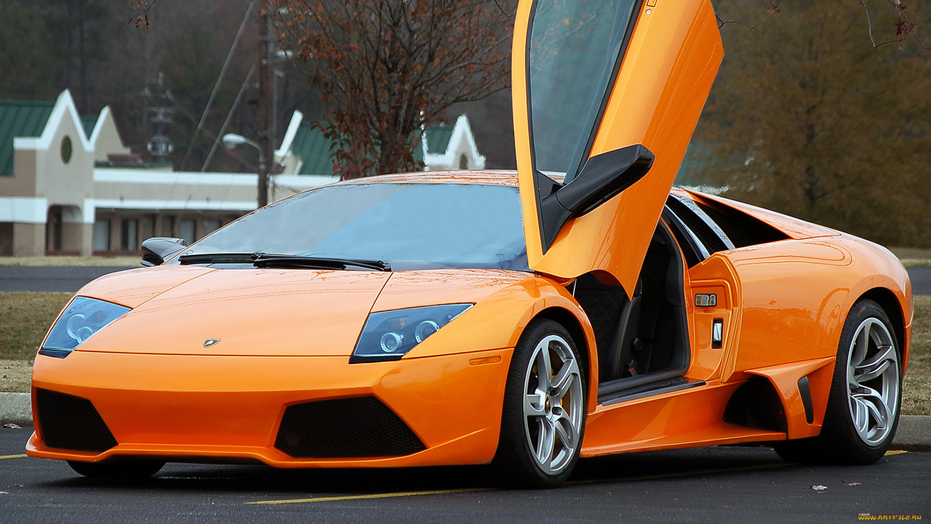 автомобили, lamborghini