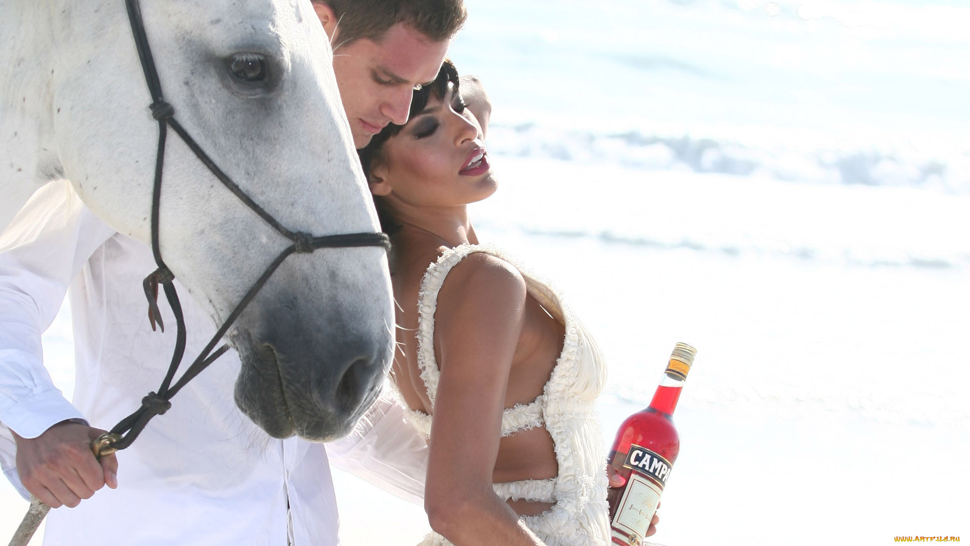 campari, бренды