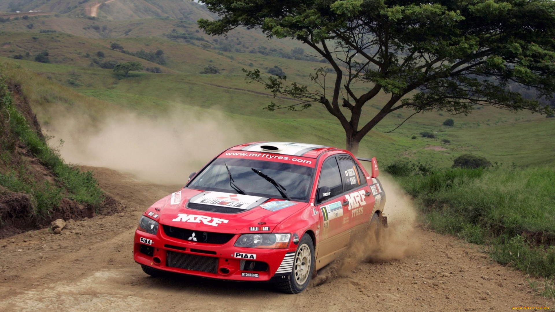 спорт, авторалли