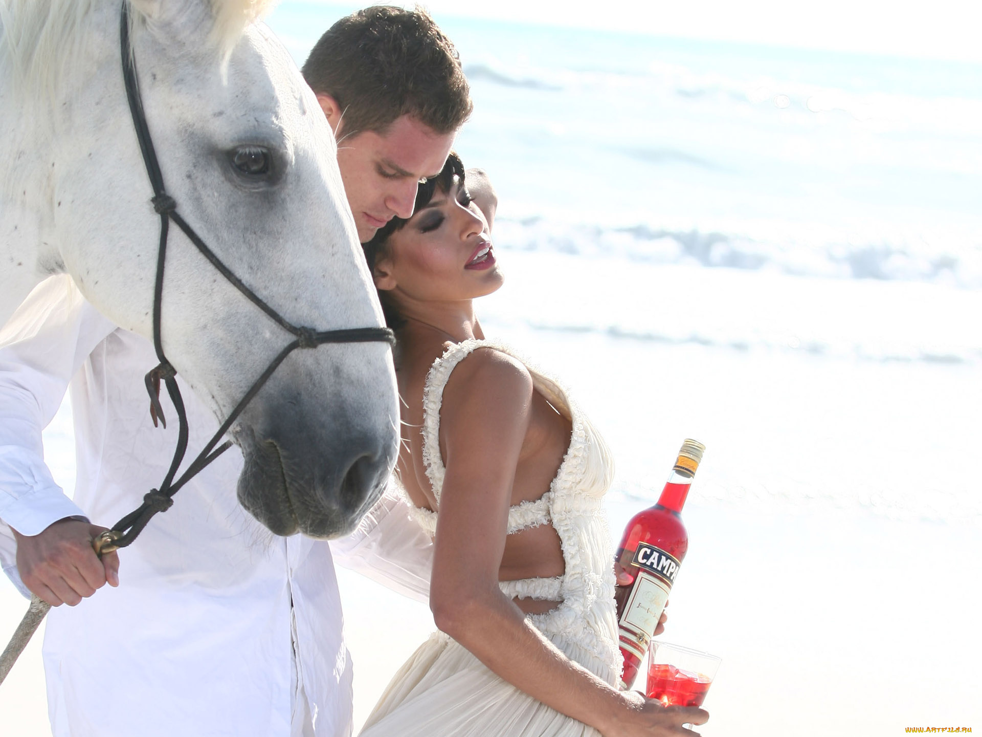 campari, бренды