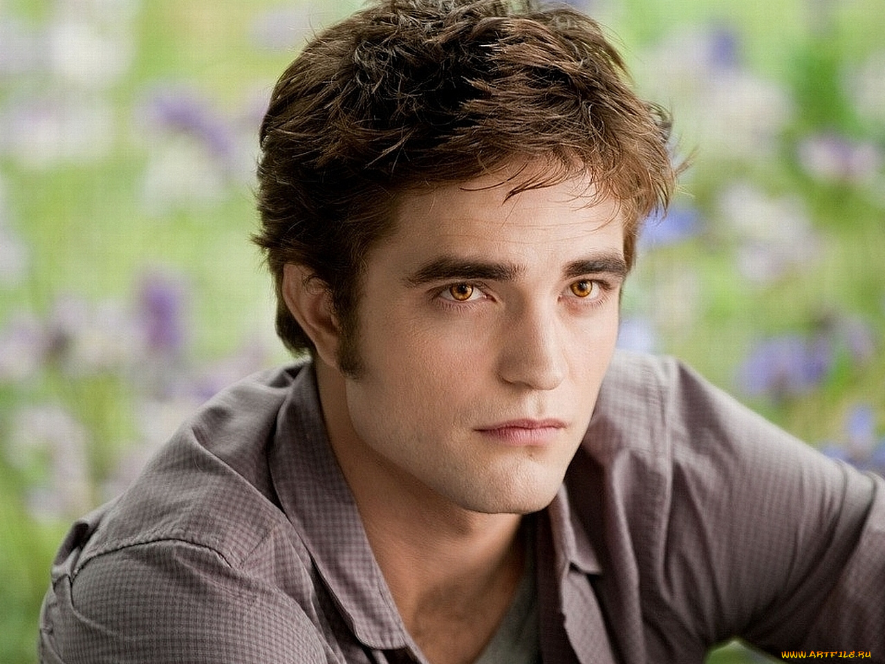 кино, фильмы, the, twilight, saga, eclipse