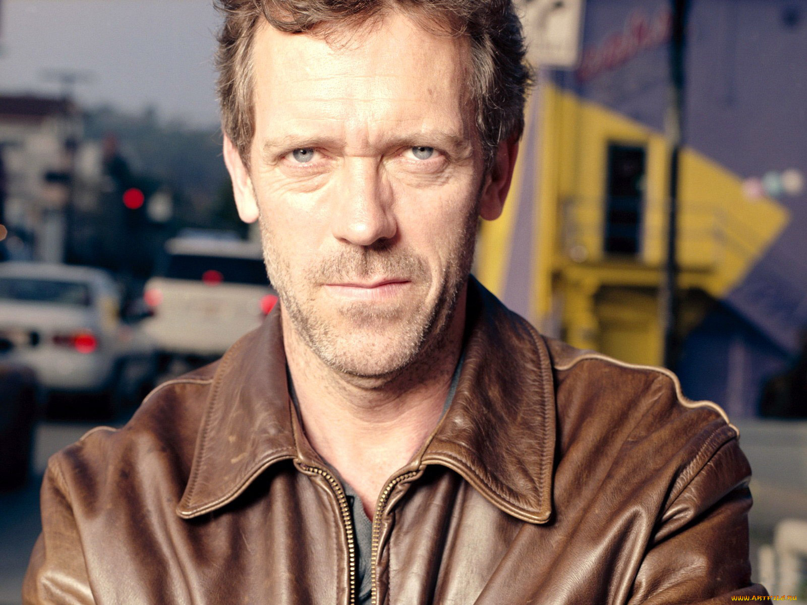 мужчины, hugh, laurie