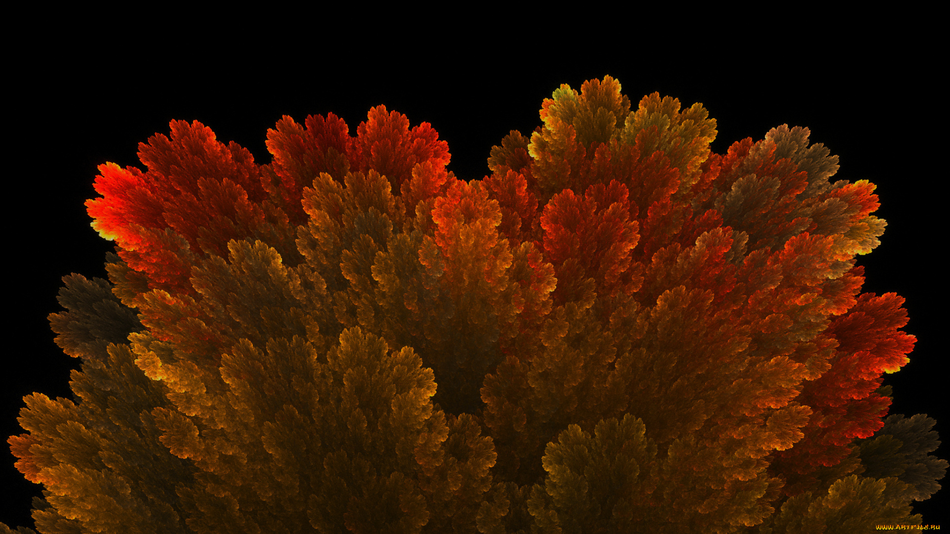 3д, графика, fractal, фракталы, фон, узор