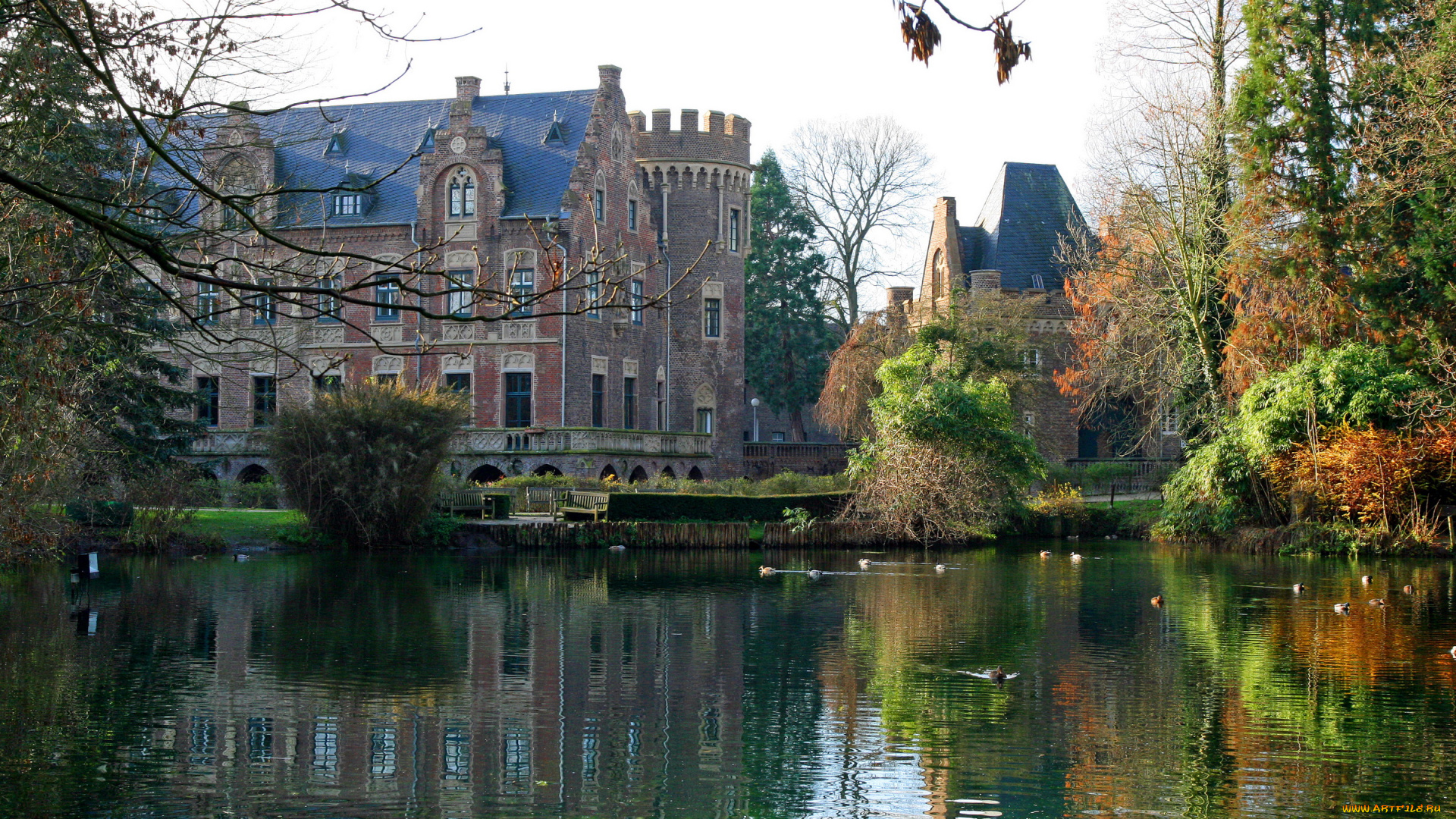 castle, paffendorf, germany, города, дворцы, замки, крепости, замок, пруд, утки