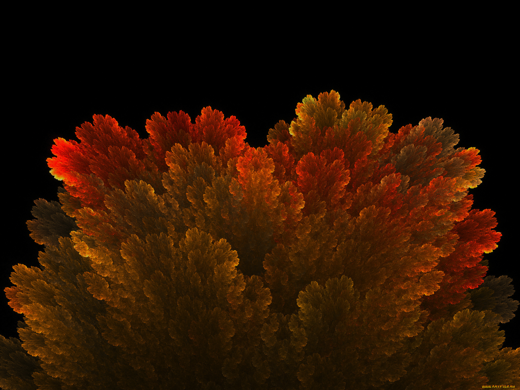 3д, графика, fractal, фракталы, фон, узор