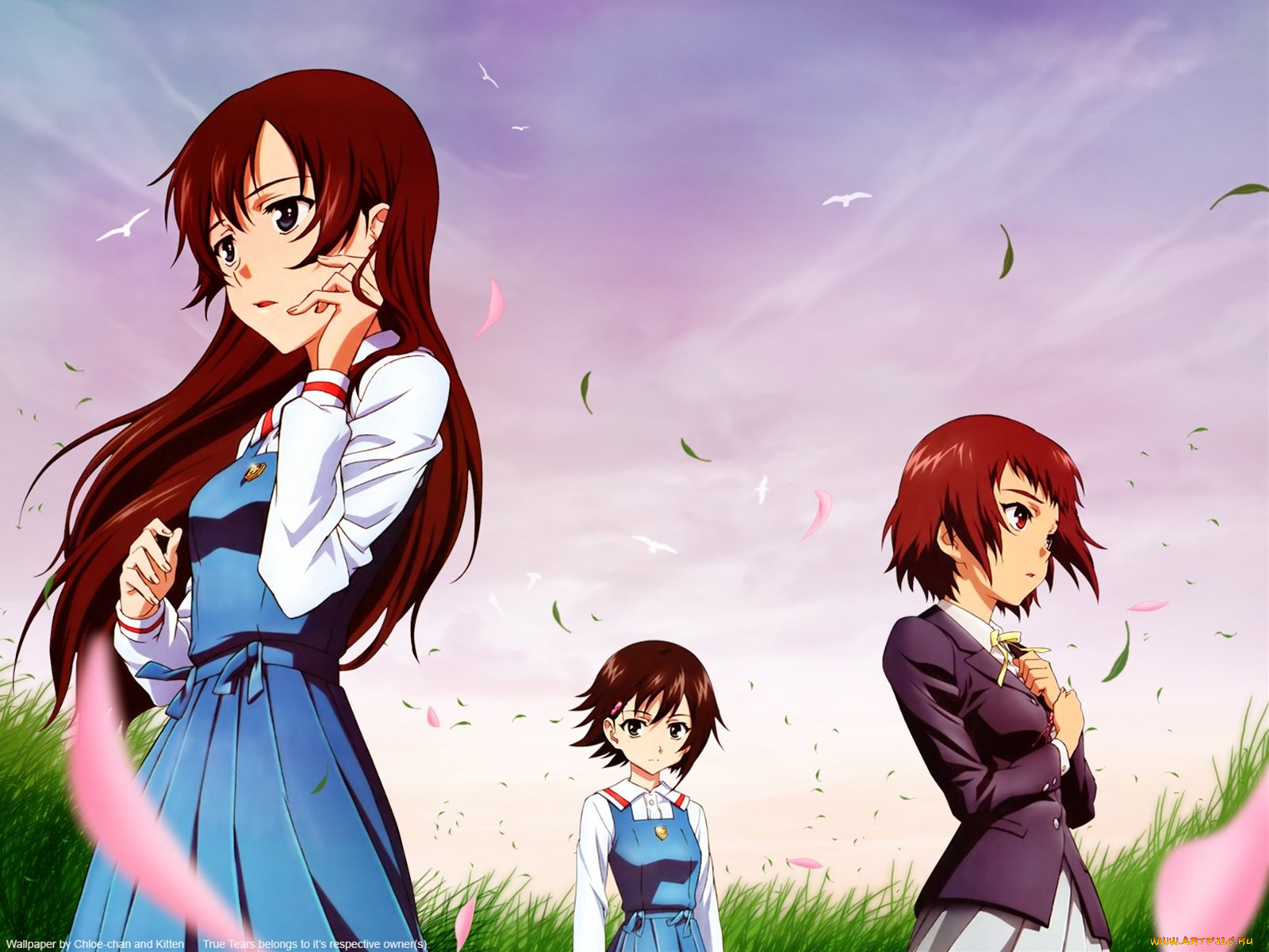 аниме, true, tears