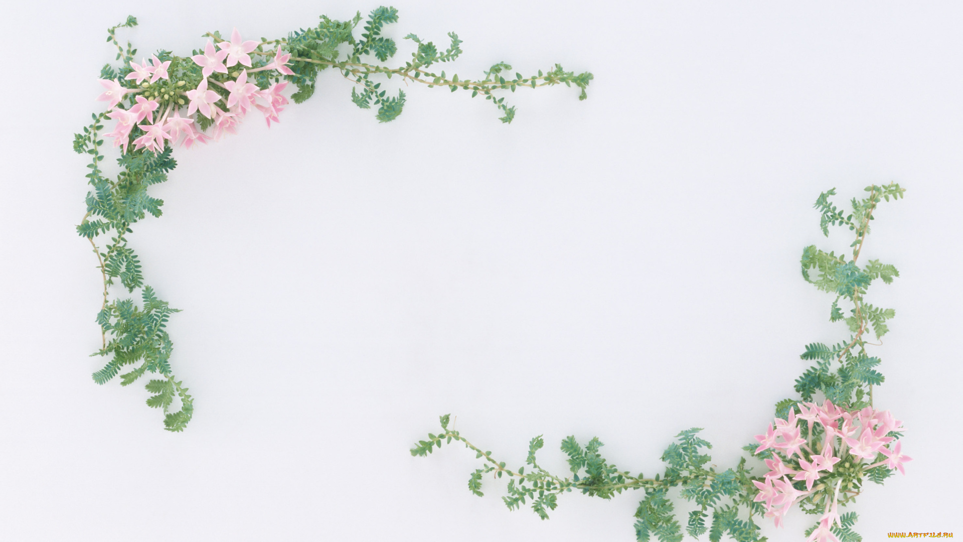 цветы, букеты, композиции, лепестки, узор, цветки