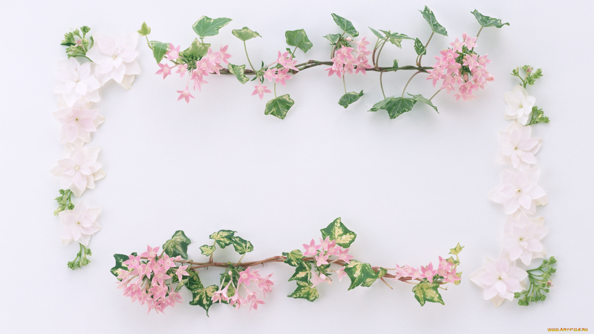 цветы, разные, вместе, цветки, узор, лепестки