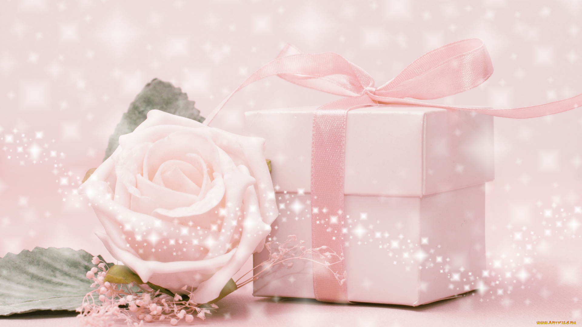 цветы, розы, коробочка, подарок