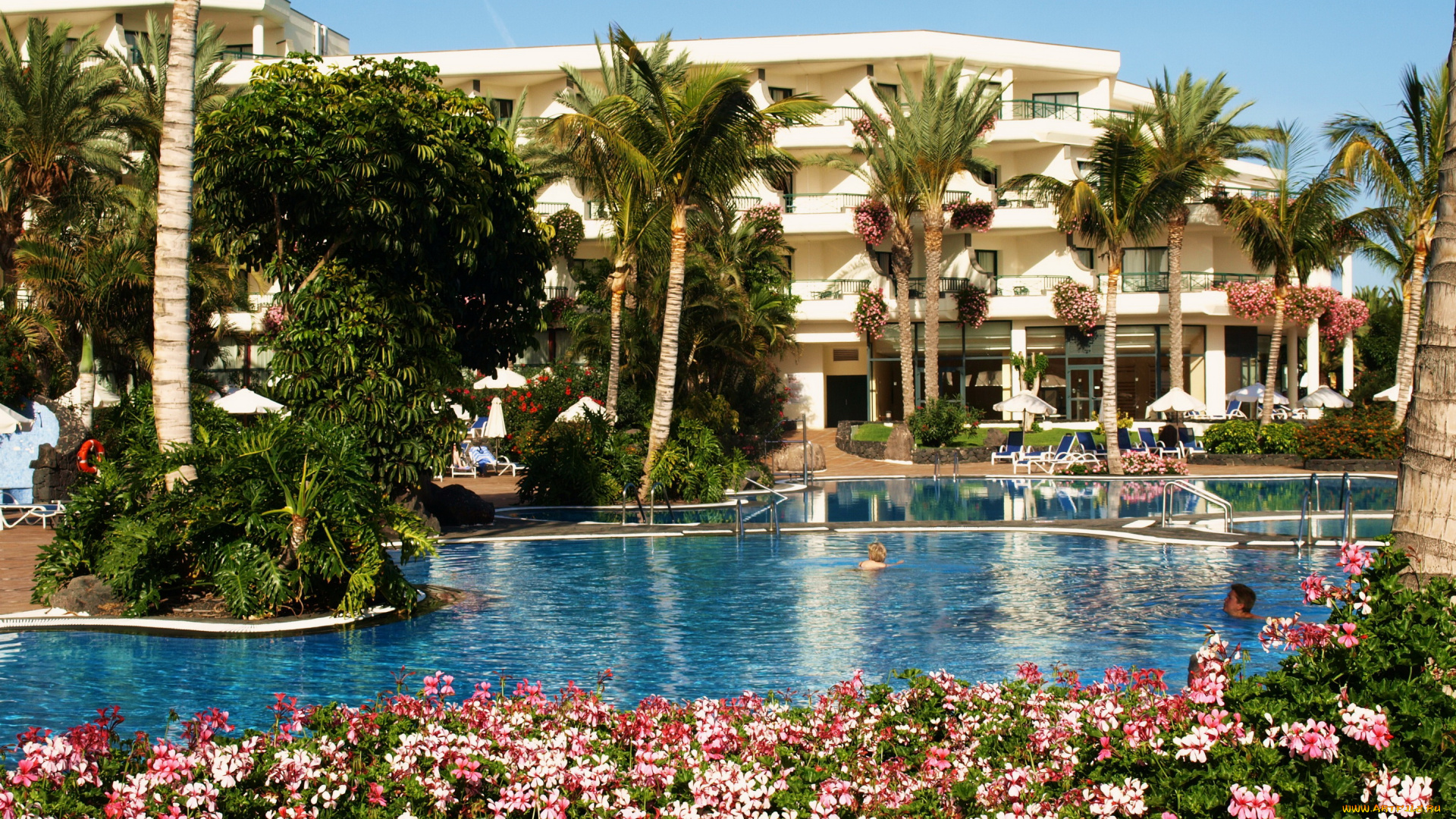 испания, канарские, ва, Яйса, интерьер, бассейны, открытые, площадки, курорт, гостиницы, бассейн