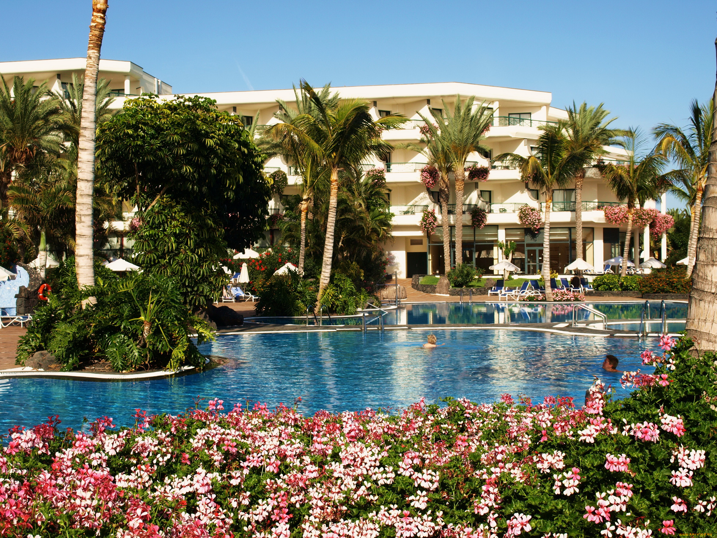 испания, канарские, ва, Яйса, интерьер, бассейны, открытые, площадки, курорт, гостиницы, бассейн