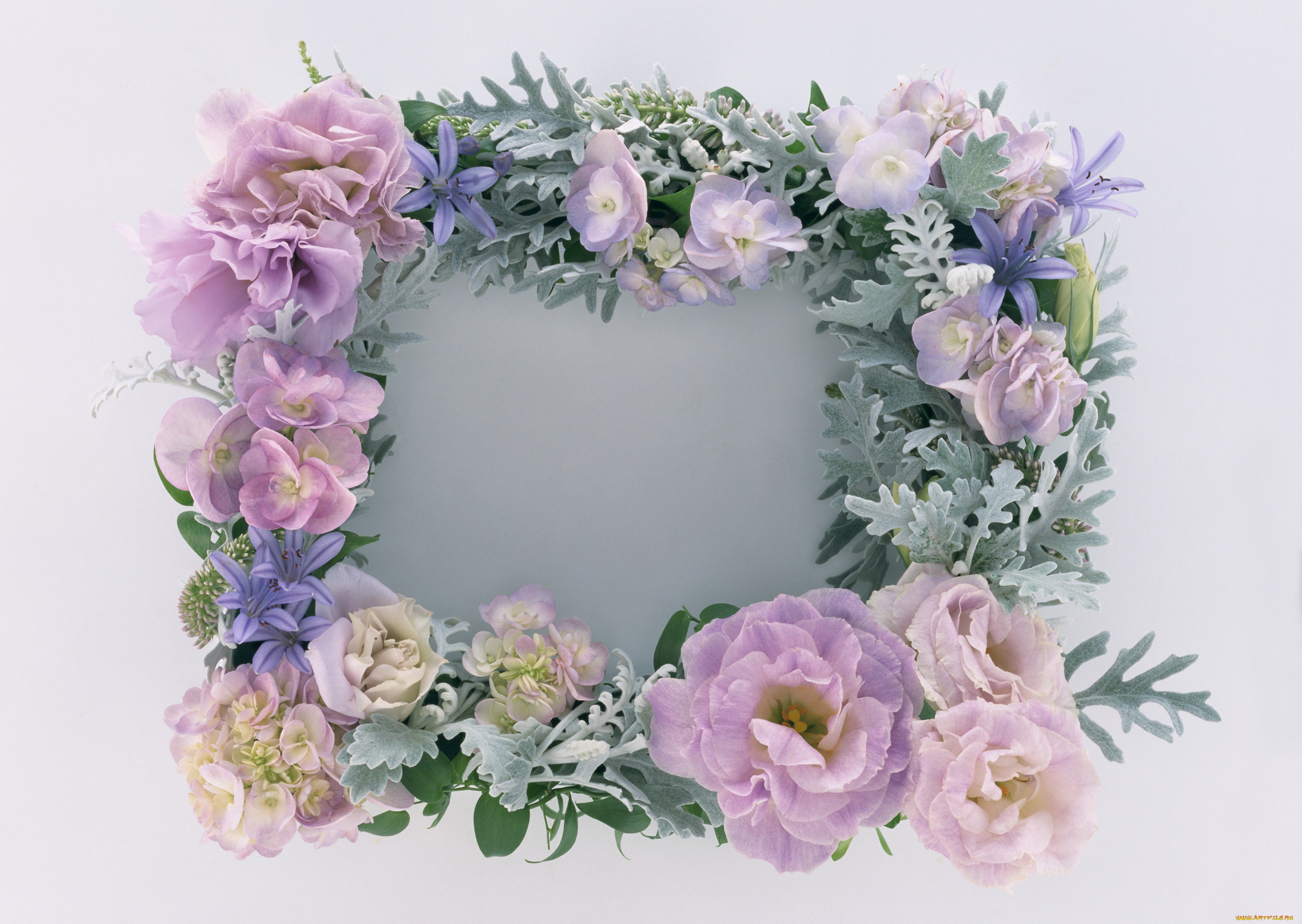 цветы, букеты, композиции, цветки, узор, лепестки