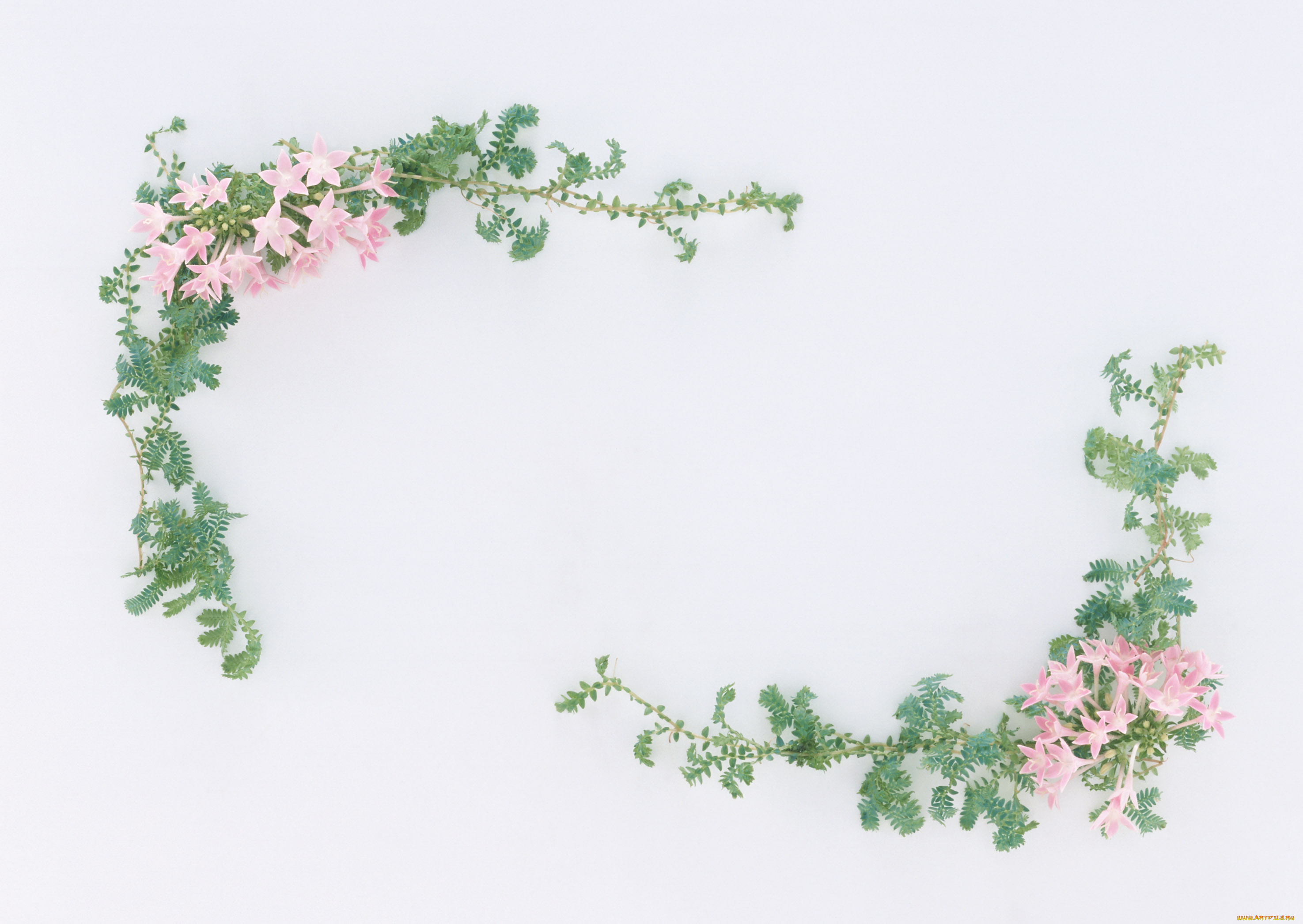 цветы, букеты, композиции, лепестки, узор, цветки