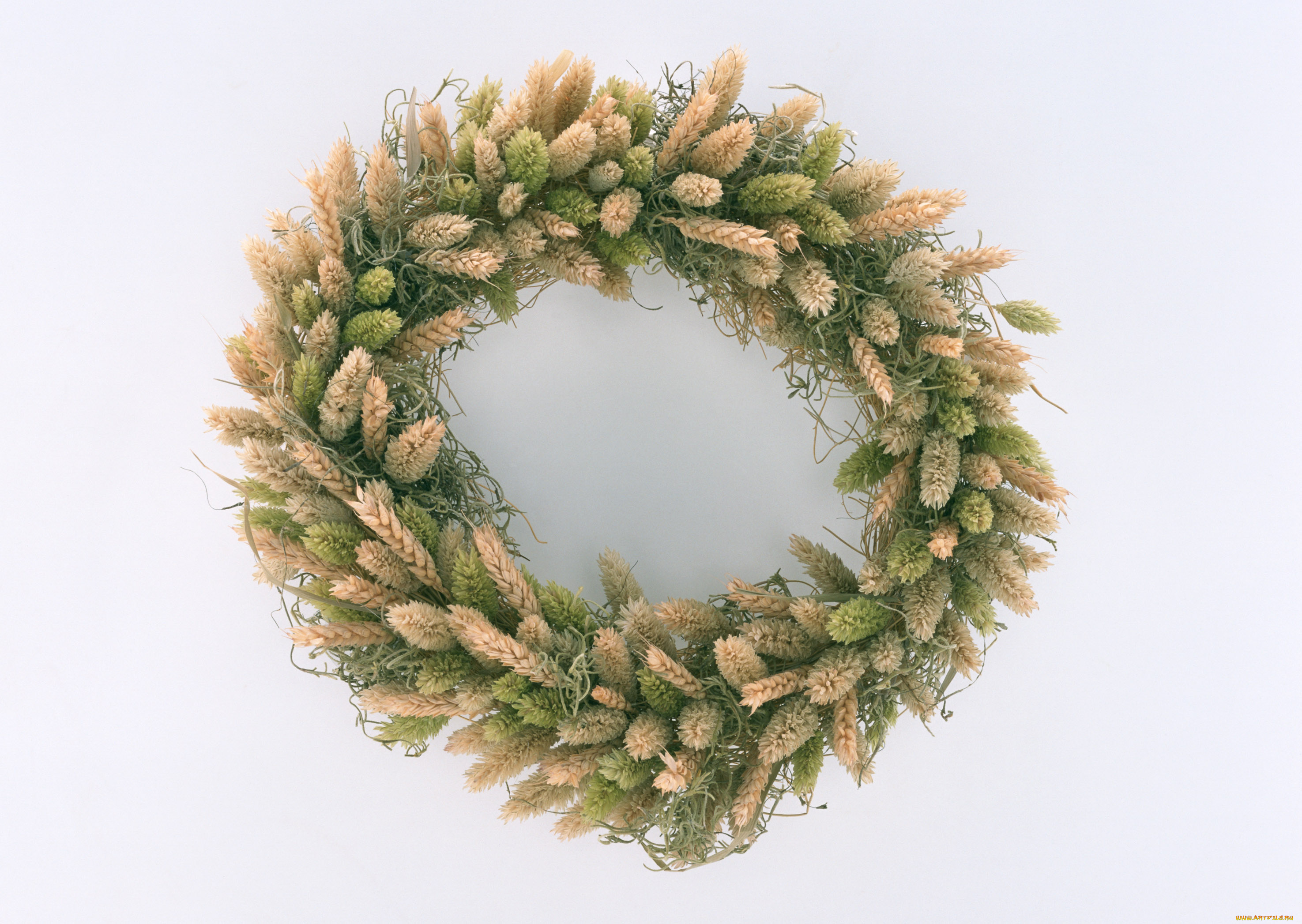 цветы, букеты, композиции, лепестки, венок, бутоны