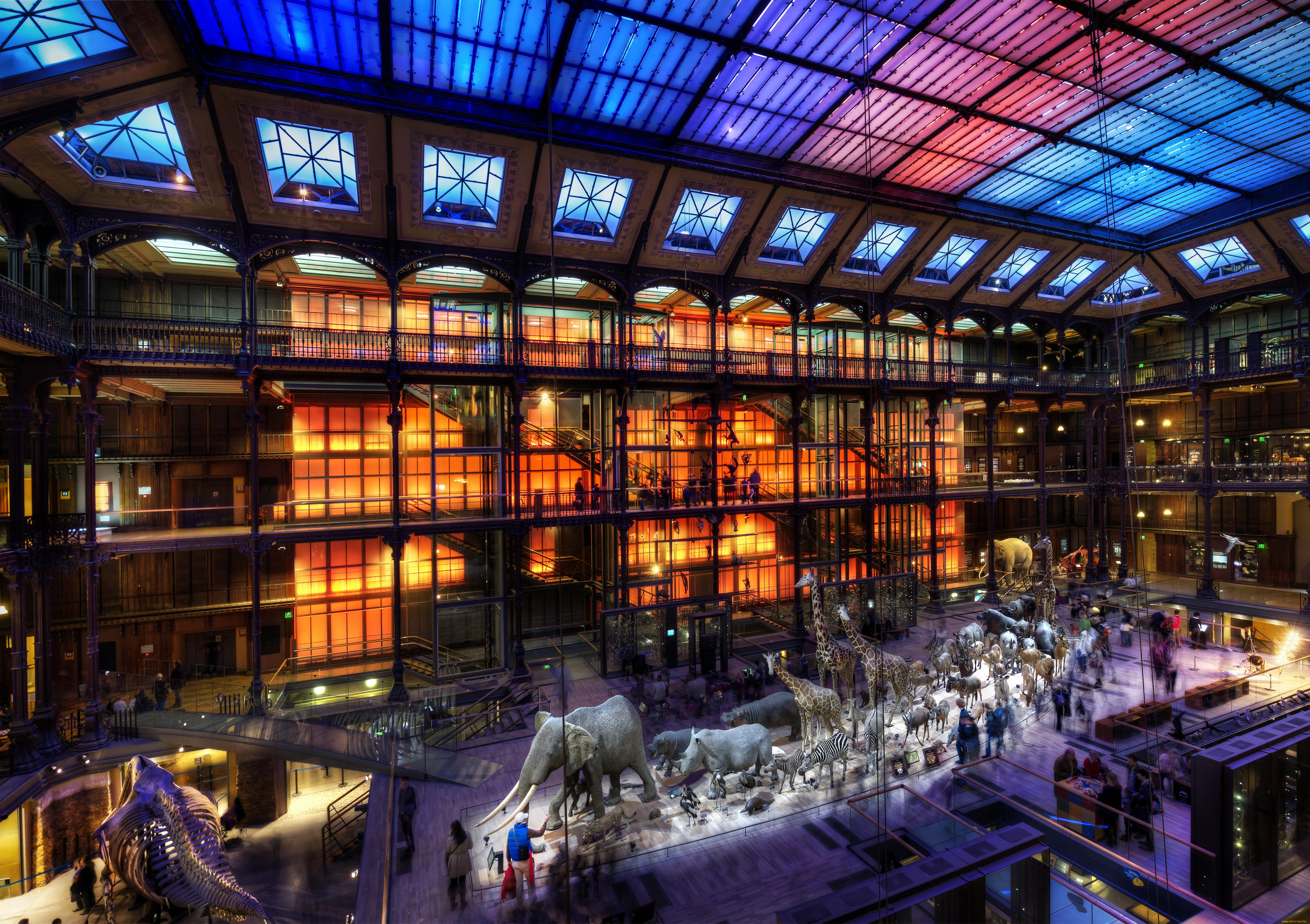 интерьер, дворцы, музеи, париж, франция, экспонаты