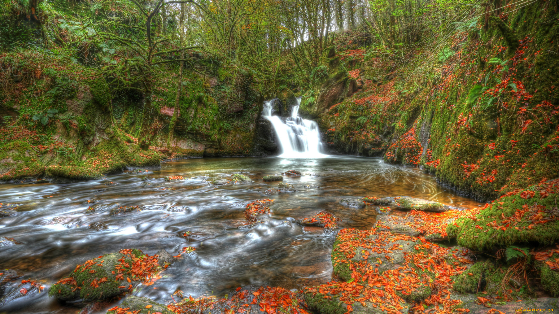 mullinhassig, waterfall, , ireland, природа, водопады, осень, лес, река, водопад, ирландия, ireland, mullinhassig, waterfall, листья, камни