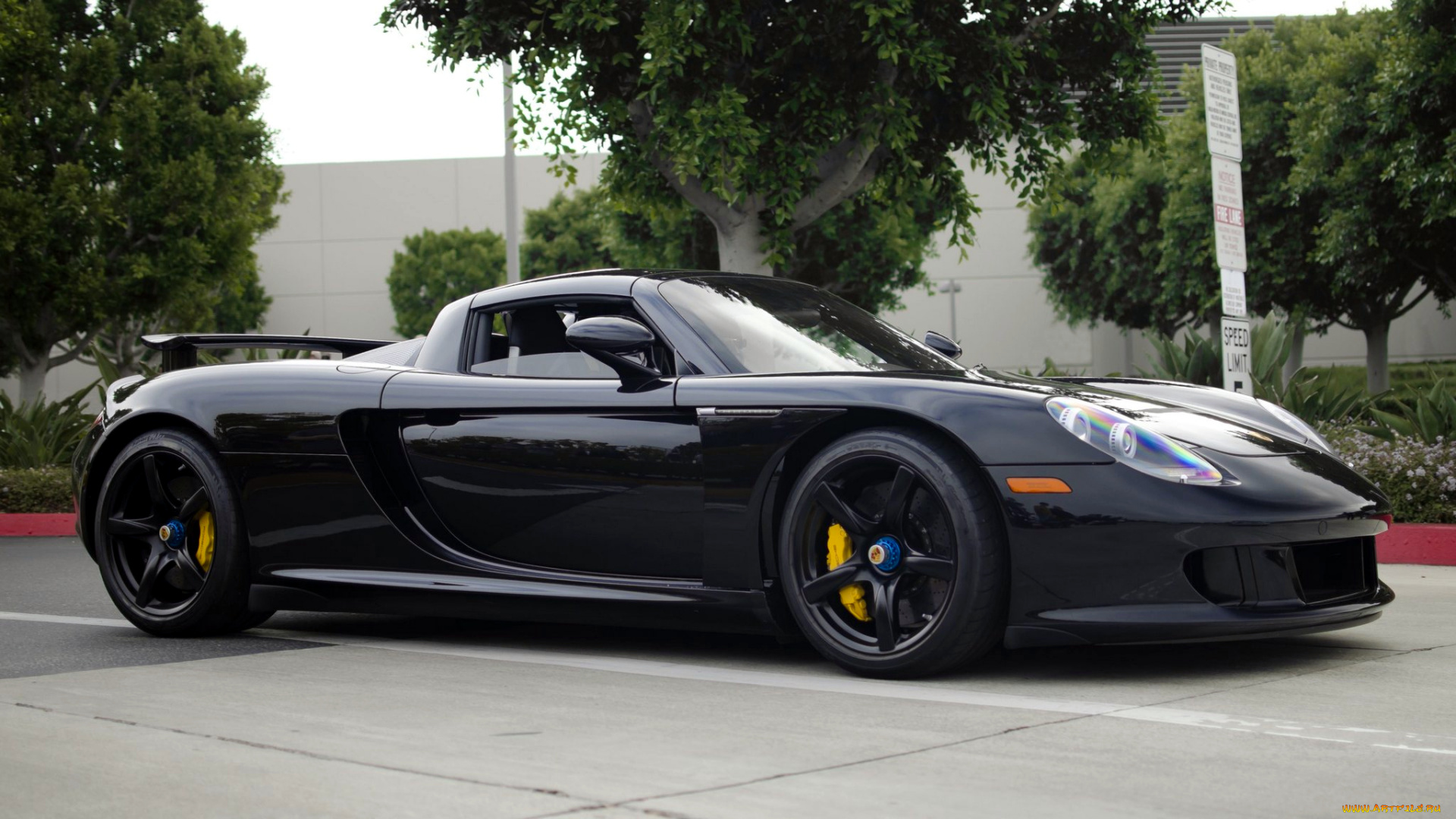 porsche, carrera, gt, автомобили, porsche, спортивные, германия, элитные, dr, ing, h, c, f, ag