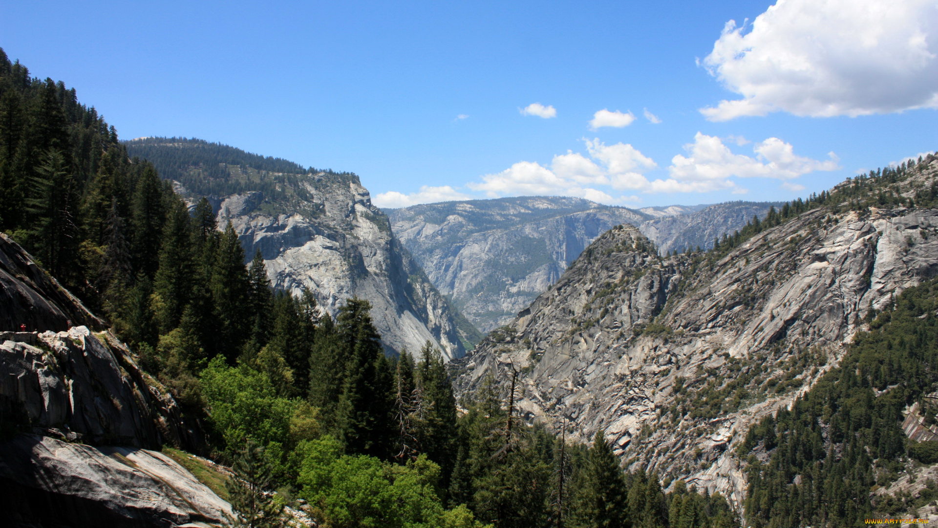 yosemite, national, park, природа, горы, сша, калифорния, ели, лес, yosemite, парк