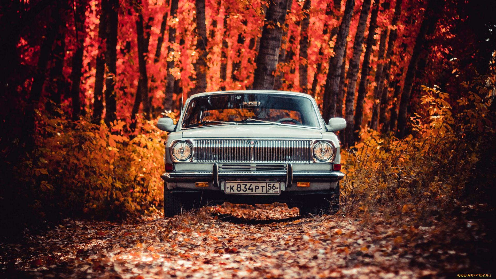 автомобили, газ, 24