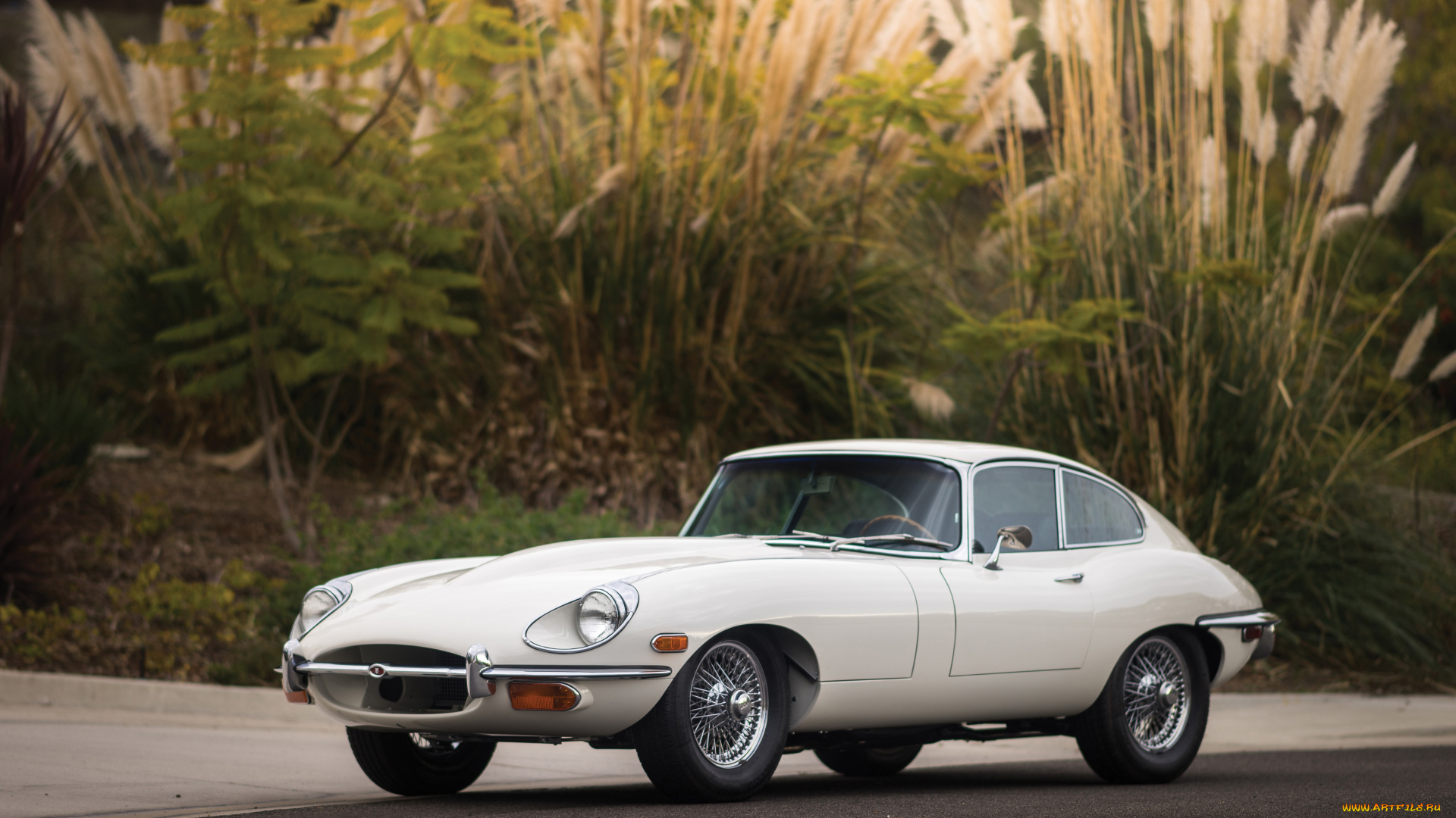 автомобили, jaguar