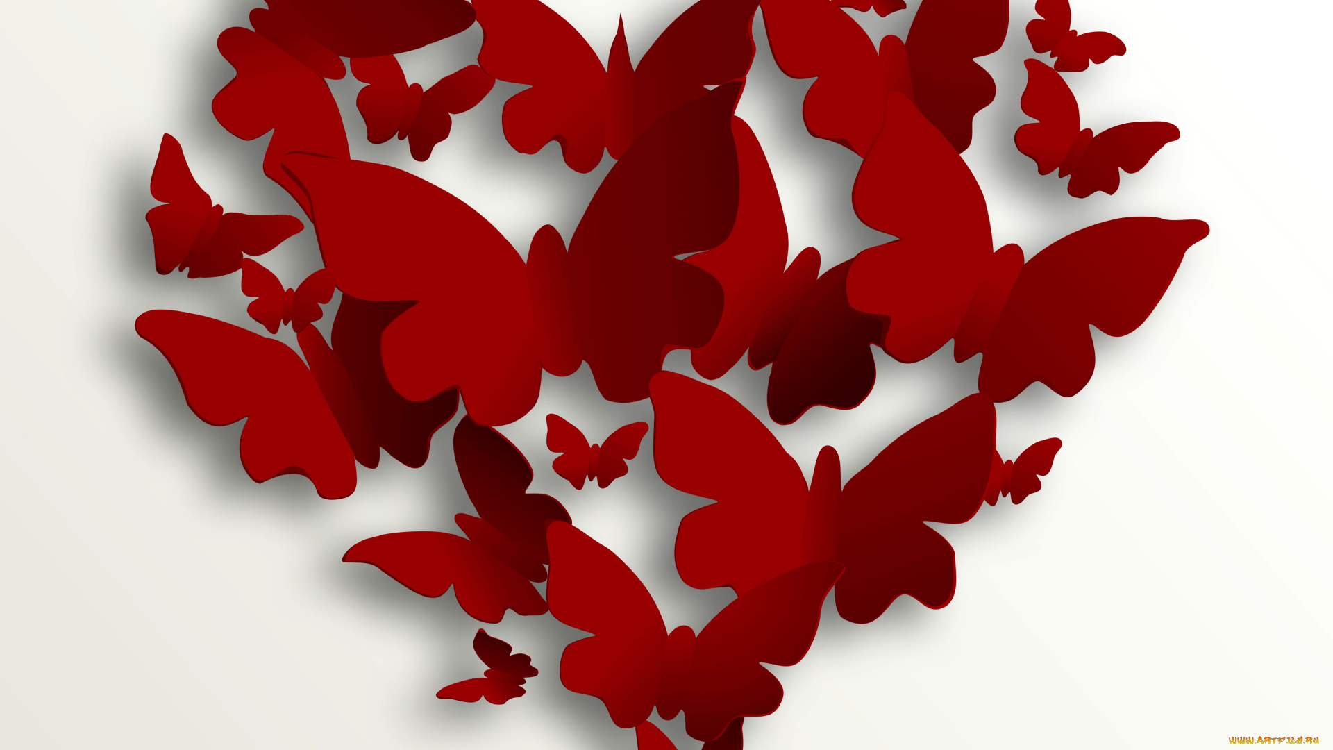 векторная, графика, животные, фон, бабочки