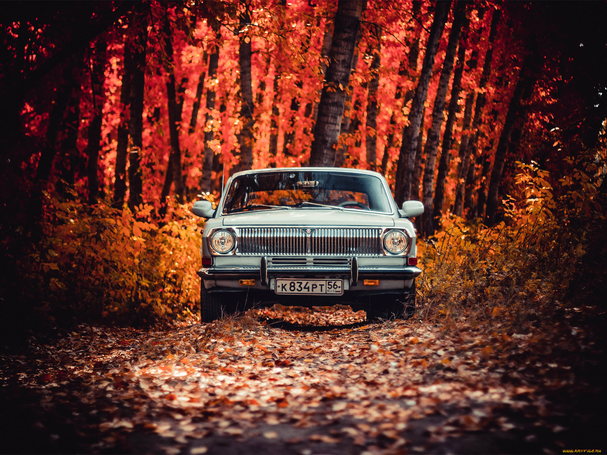 автомобили, газ, 24