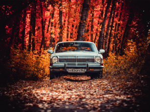 Картинка автомобили газ 24