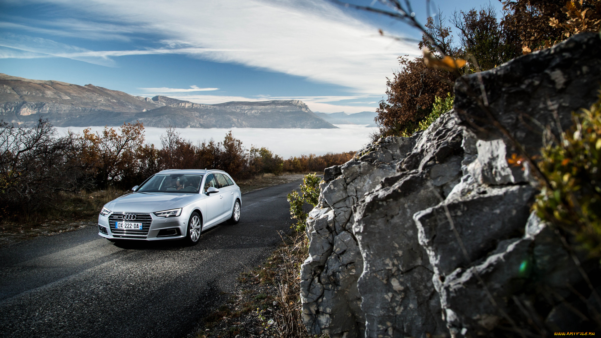 автомобили, audi, a4, avant, tdi, quattro, b9, 2015г