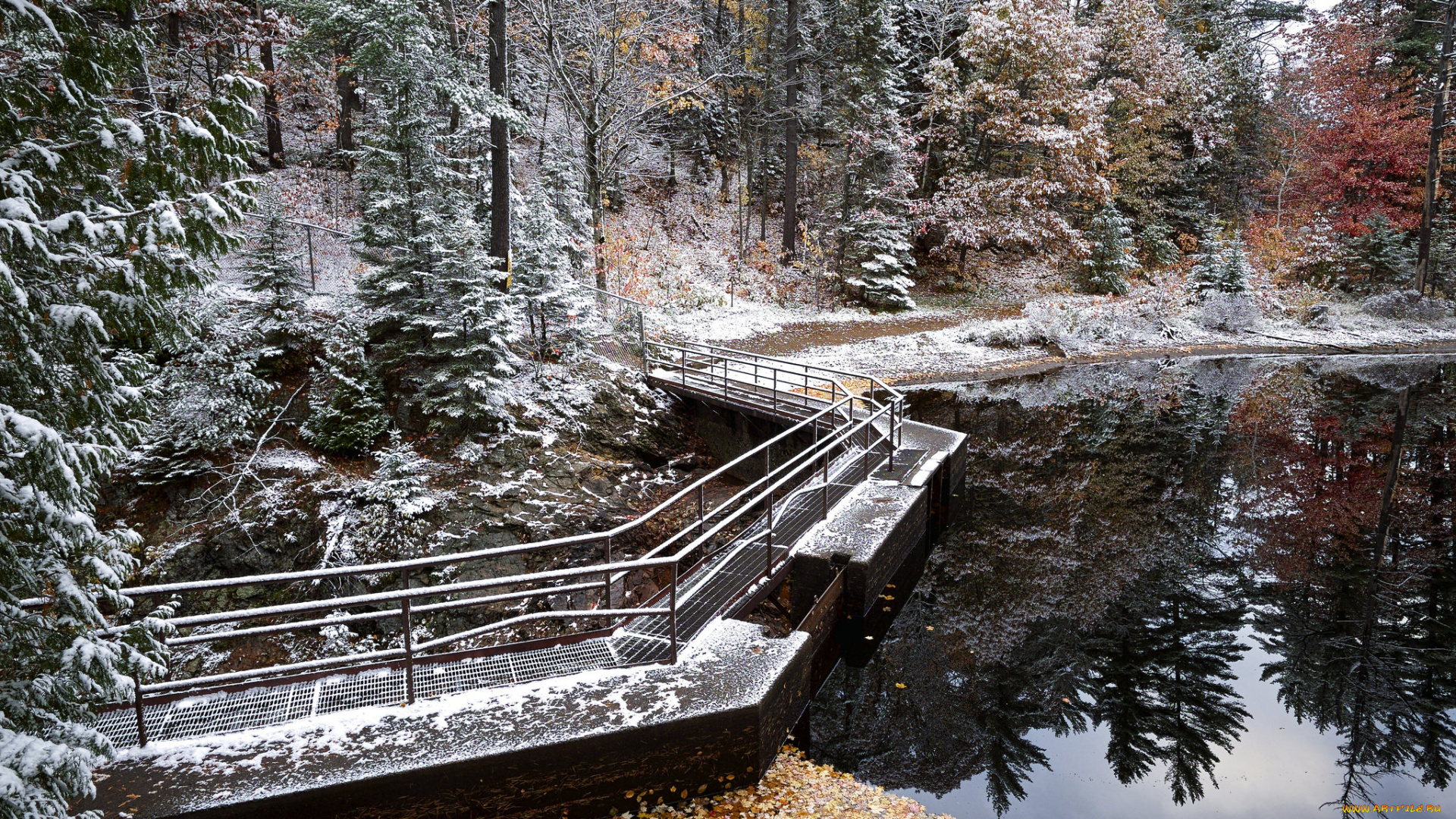 природа, реки, озера, дамба, река, лес