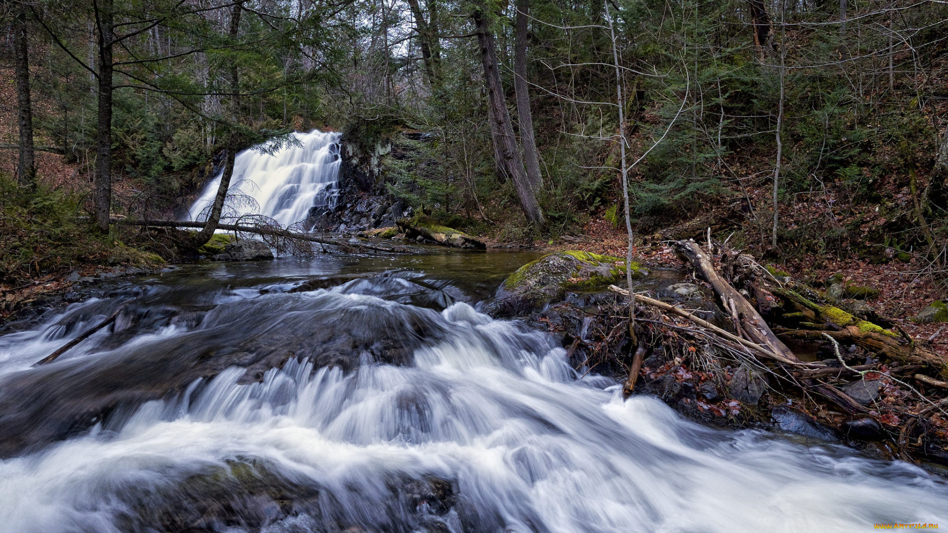 природа, водопады, водопад, река, лес