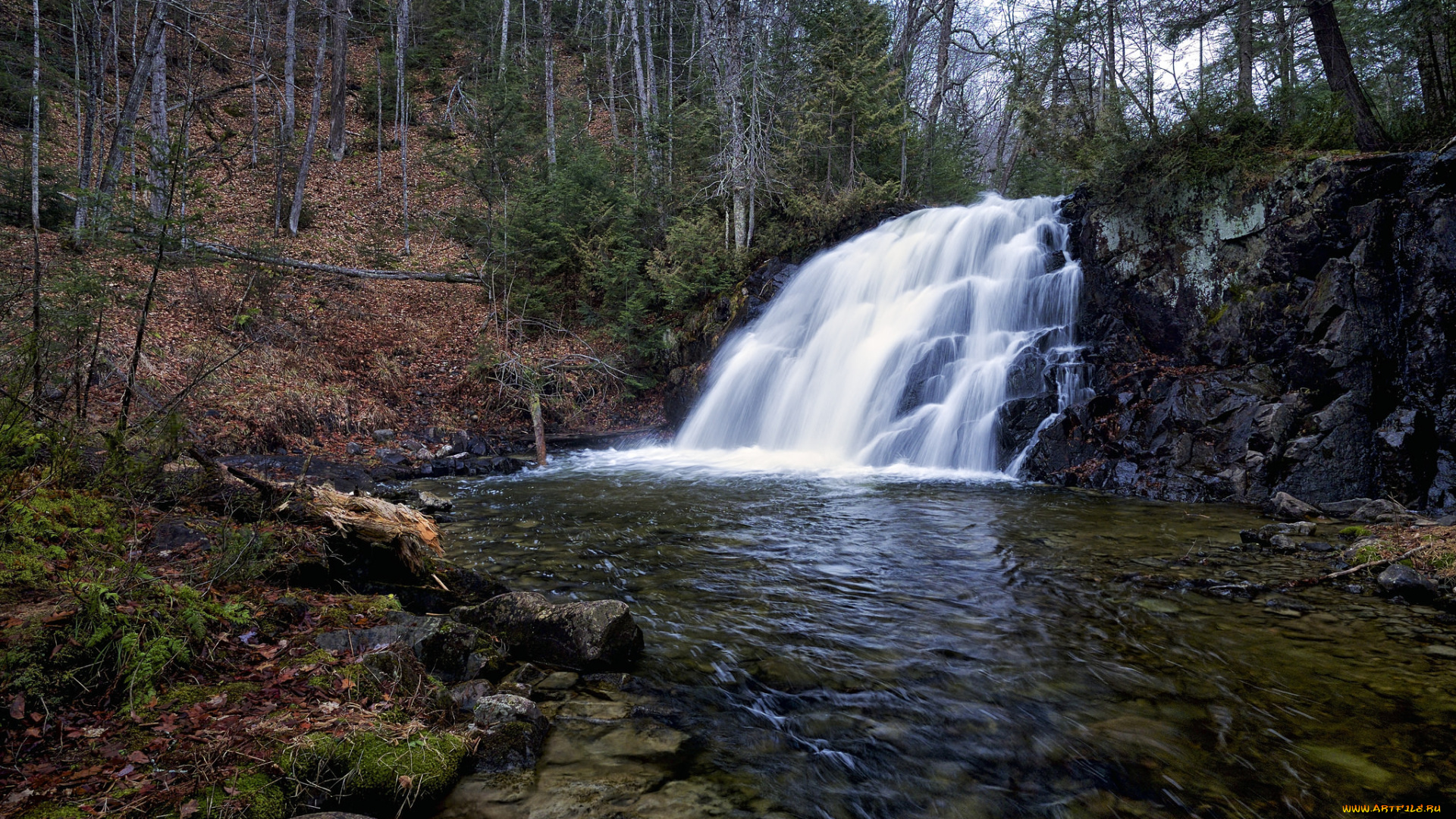 природа, водопады, водопад, река, лес