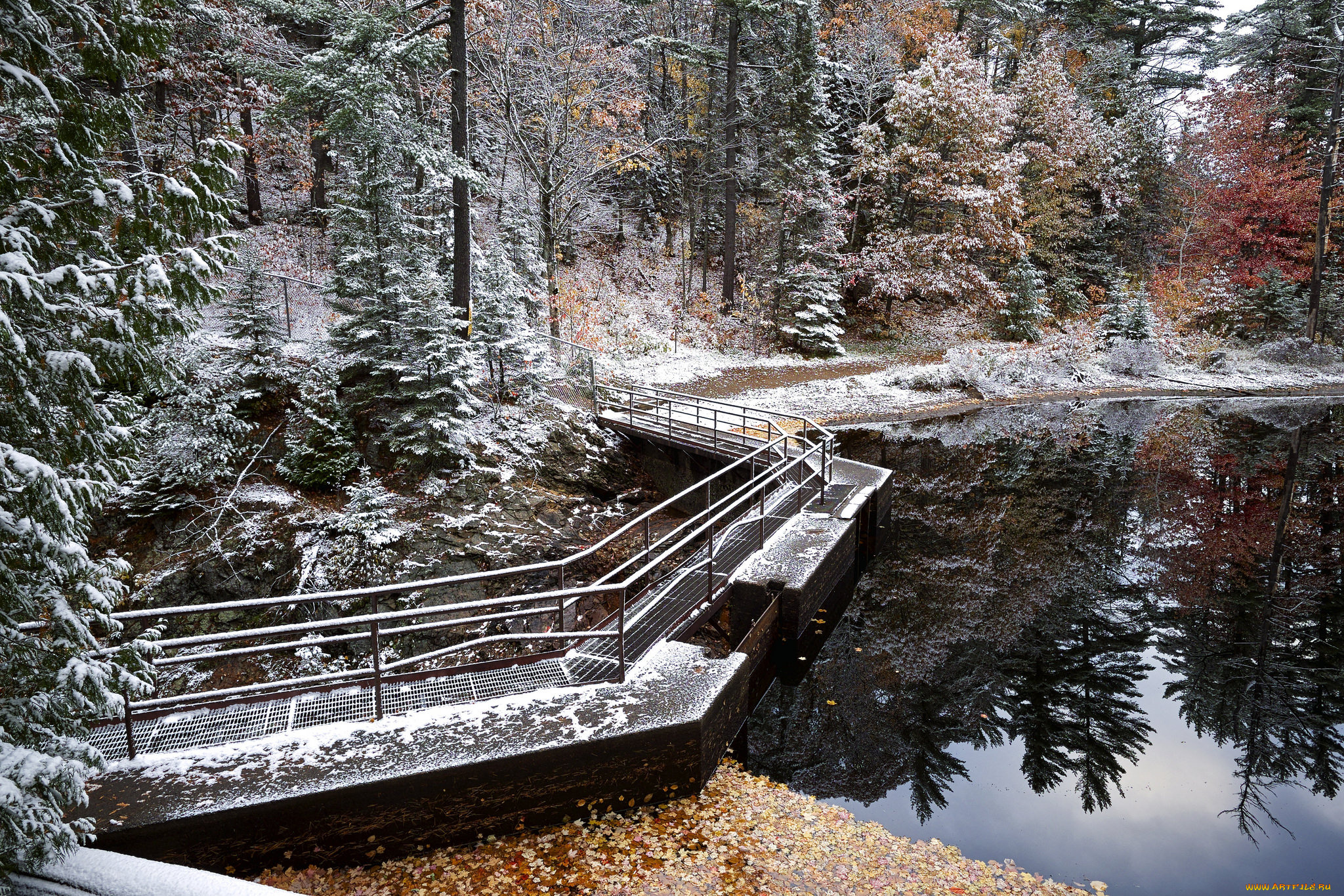 природа, реки, озера, дамба, река, лес