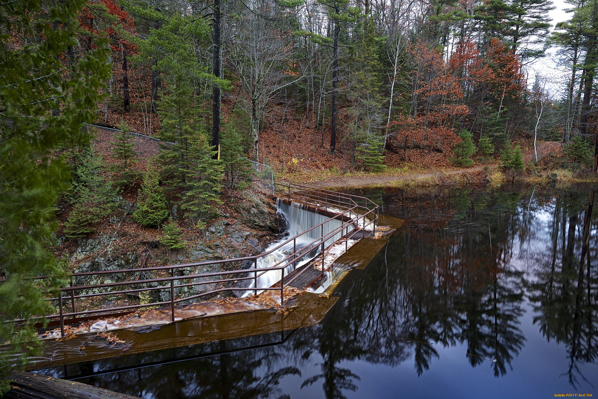 природа, реки, озера, река, лес, дамба