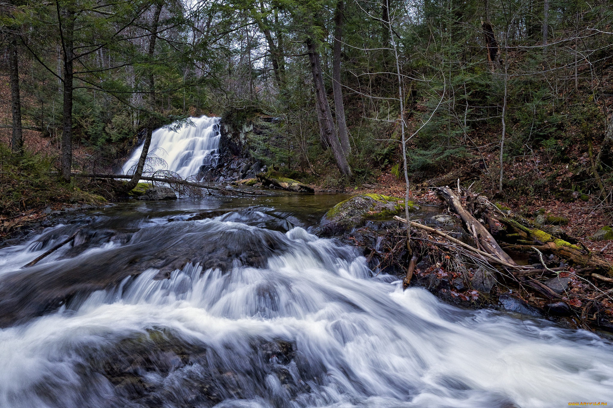 природа, водопады, водопад, река, лес