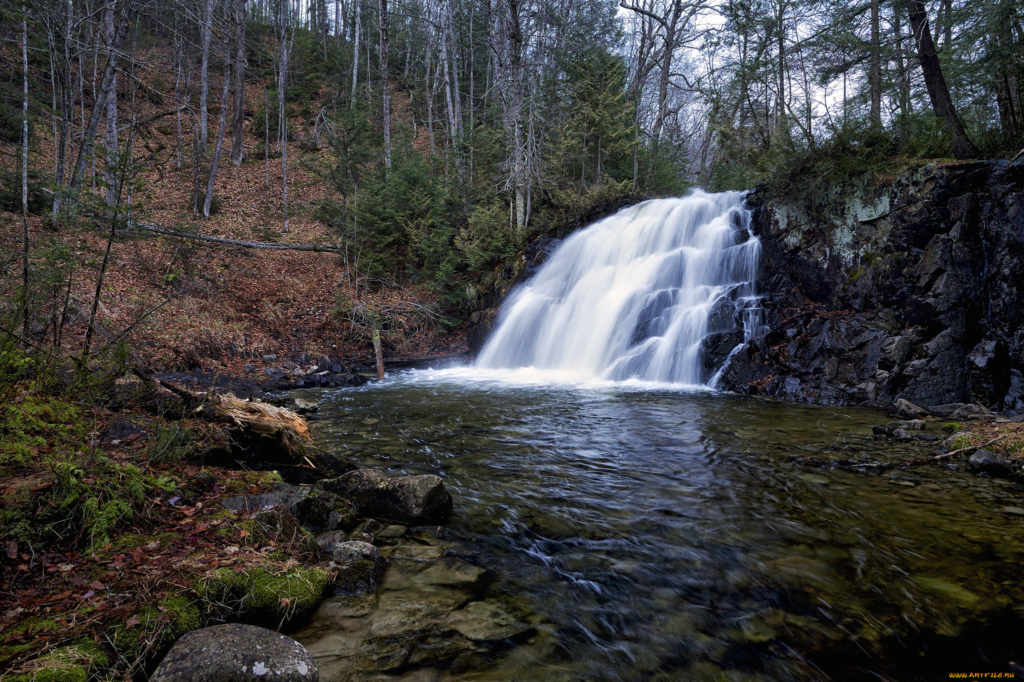 природа, водопады, водопад, река, лес