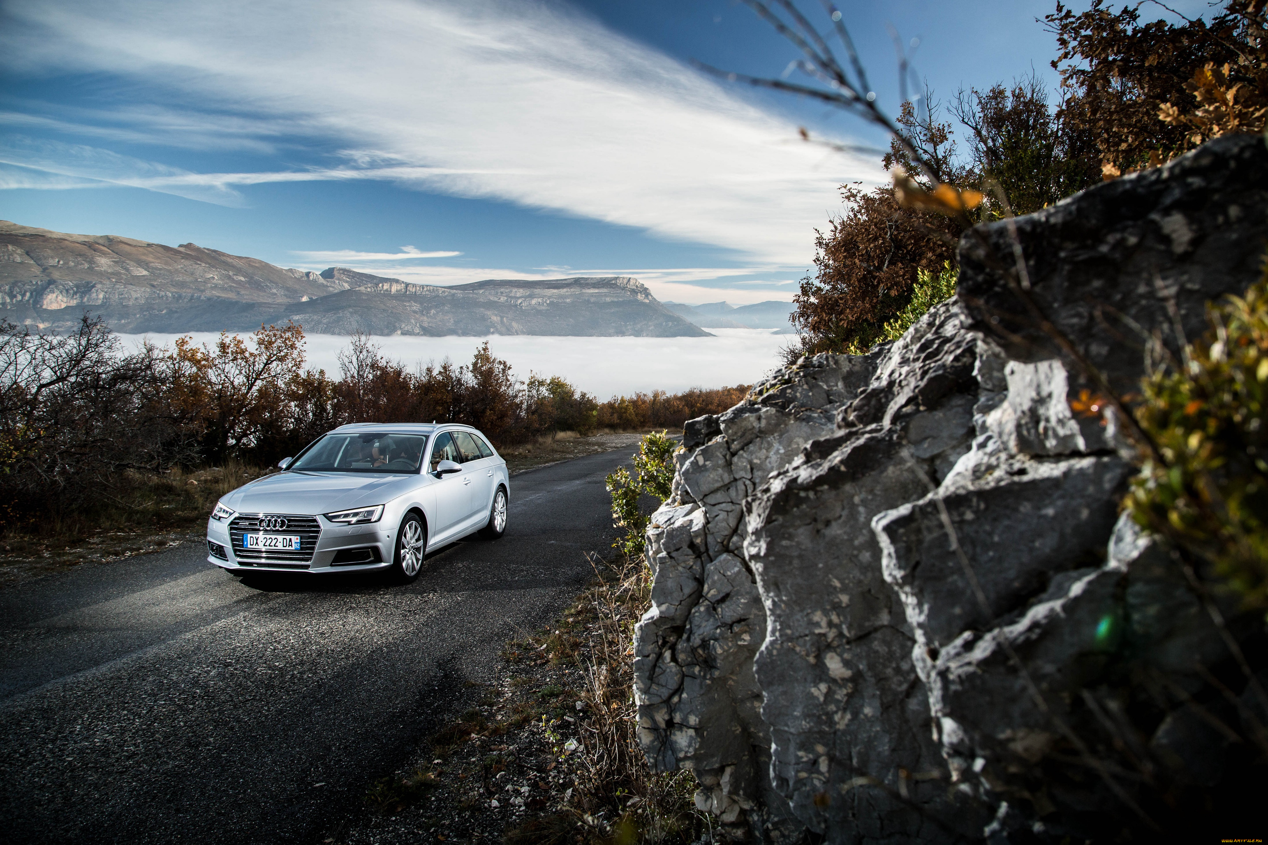 автомобили, audi, a4, avant, tdi, quattro, b9, 2015г