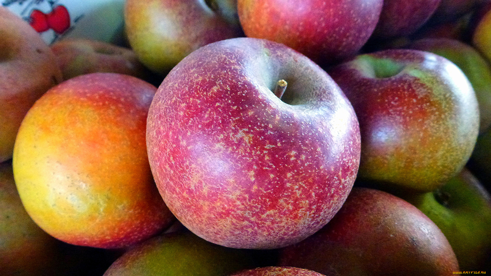 еда, Яблоки, плоды